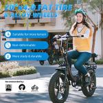 Rattan 750W Foldable Fat Tire Electric Bike