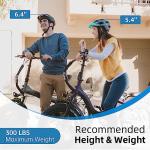 Rattan 750W Foldable Fat Tire Electric Bike