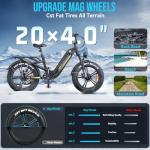 FREESKY Rocky Pro Electric Bike 