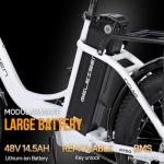 Geleisen RP50 1000W Step-Thru Electric Bike