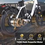 Geleisen RP50 1000W Step-Thru Electric Bike