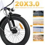 Geleisen RP50 1000W Step-Thru Electric Bike
