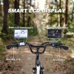 Geleisen RP50 1000W Step-Thru Electric Bike