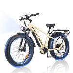 GELEISEN 26" Fat Tire Electric Bike