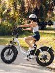 Heybike Ranger White Foldable Electric Bike with Fat Tires