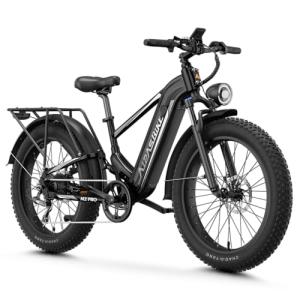 LEONX M2 Pro Electric Bike with 1800W Motor