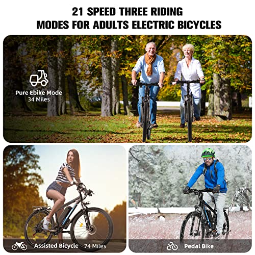 Sztps 750W Electric Mountain Bike for Adults