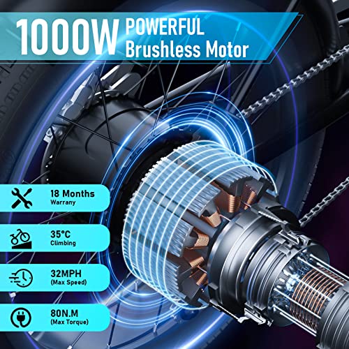 Apiwo Adult 1000w Electric Fat Tire Bike