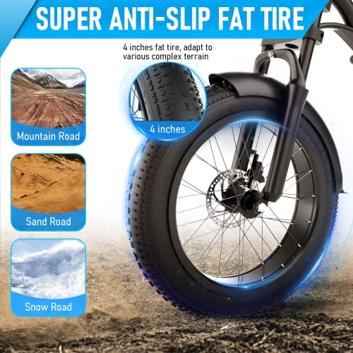 APIWO 1000W Fat Tire E-Bike