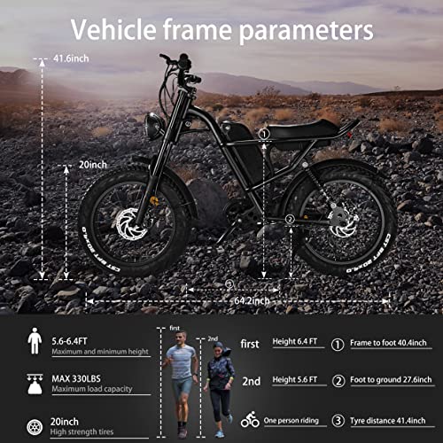 APIWO 1000W Fat Tire E-Bike