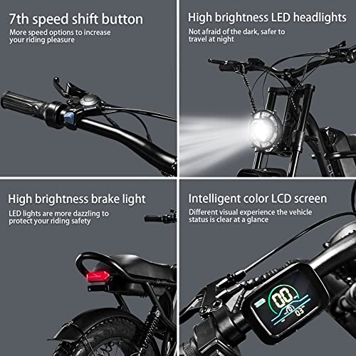 APIWO 1000W Fat Tire E-Bike