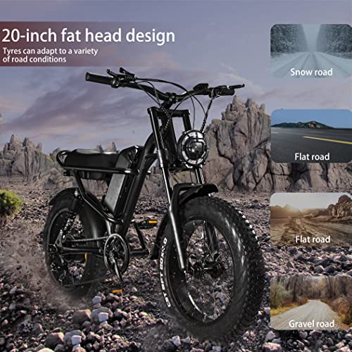 APIWO 1000W Fat Tire E-Bike