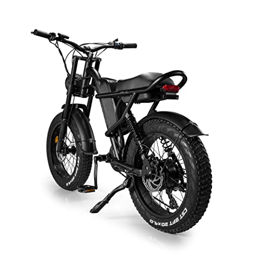 APIWO 1000W Fat Tire E-Bike
