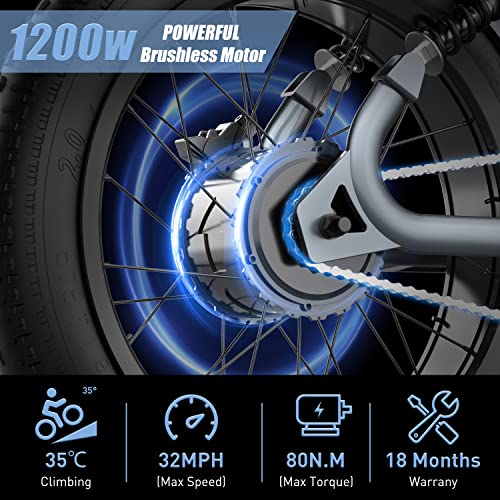 YYG 1200 W Electric Bike