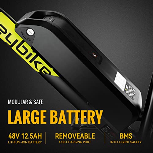 Heybike Race Max Electric Mountain Bike