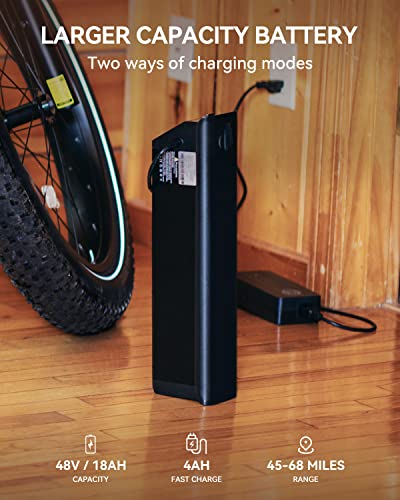Heybike Brawn 750W Fat Tire Electric Bike