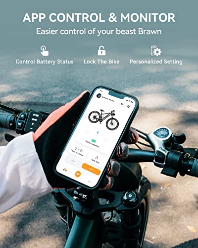 Heybike Brawn 750W Fat Tire Electric Bike