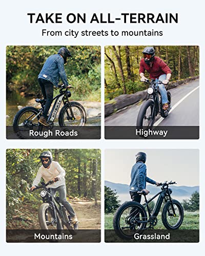 Heybike Brawn 750W Fat Tire Electric Bike