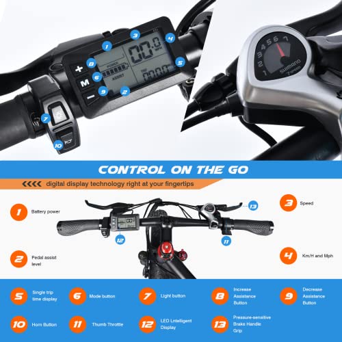 Vfamky 1000W Fat Tire E-MTB