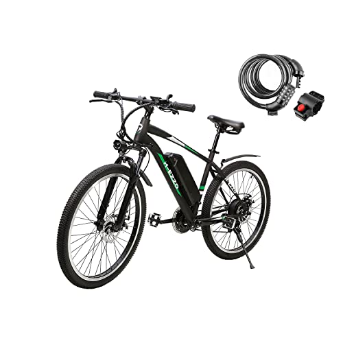 HEZZO Electric Bike 750W 48V