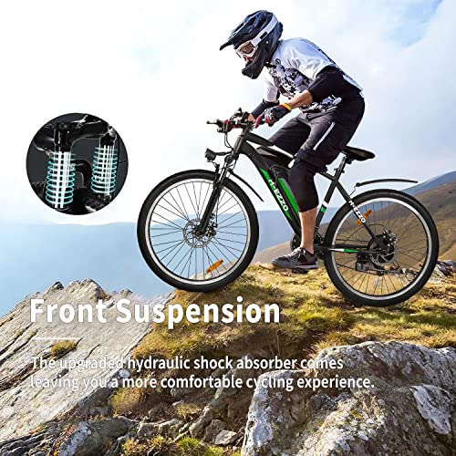 HEZZO Electric Bike 750W 48V