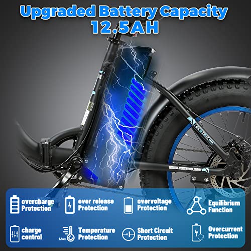 ECOTRIC Dolphin 20" Folding Electric Bike 