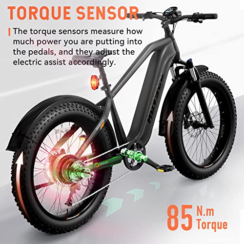 HOVSCO HovAlpha Electric Fat Tire Bike