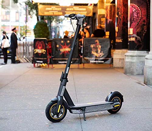 Segway Ninebot MAX G30P Electric Kick Scooter