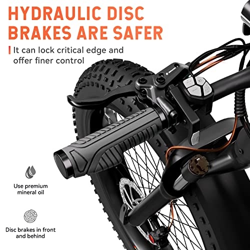 HOVSCO HovAlpha Electric Fat Tire Bike