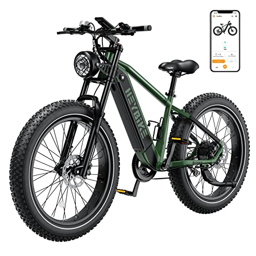 Heybike Brawn 750W Fat Tire Electric Bike