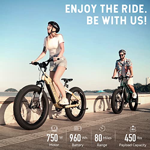 HOVSCO HovAlpha Electric Fat Tire Bike