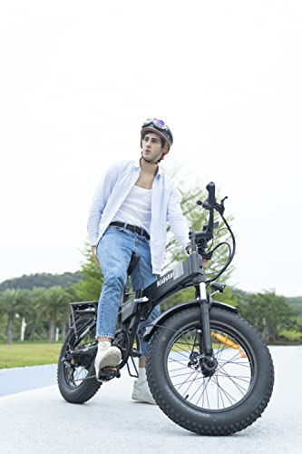 Ridstar Folding Full Suspension Electric Bike with Fat Tire