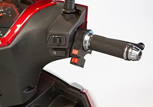 Deluxe EW-10 Velocity Electric Scooter