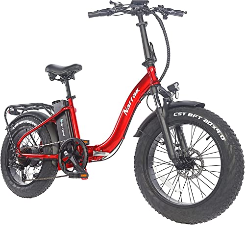 Narrak 750W Fat Tire Folding E-Bike
