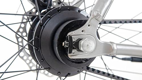 Freewheel Electric City Commuter Bike