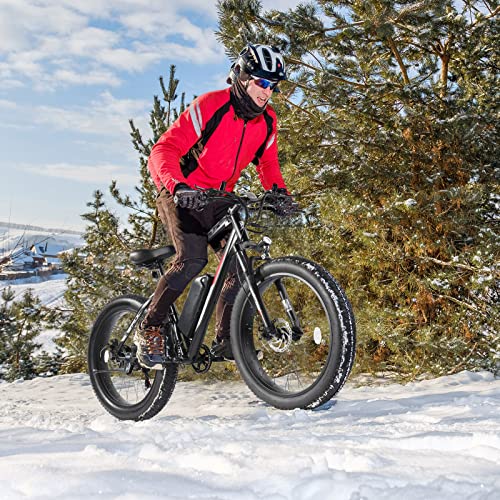 PEXMOR 500W Fat Tire Electric Mountain Bike