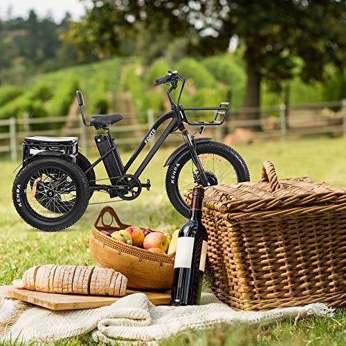 Forte Electric Tricycle