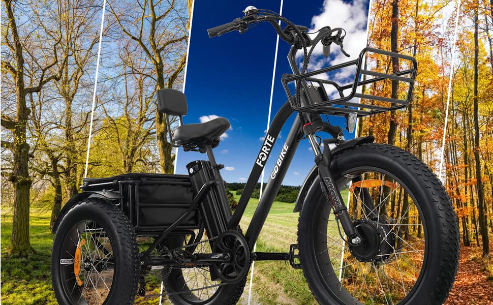 Forte Electric Tricycle