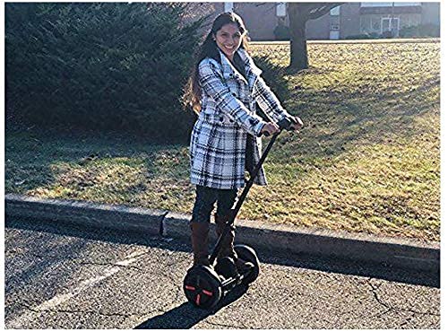 Segway Ninebot S Handlebar Stand