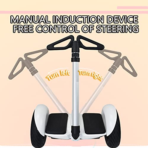 Segway Ninebot S Handlebar