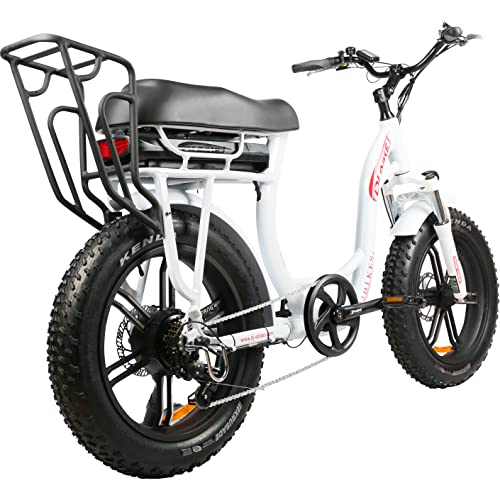 DJ Super Bike Step Thru 750W Electric Bicycle