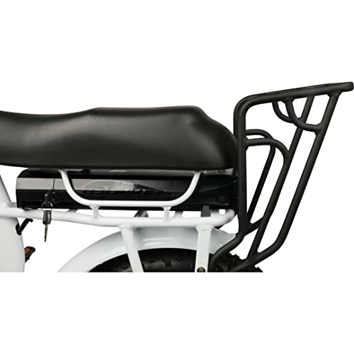 DJ Super Bike Step Thru 750W Electric Bicycle