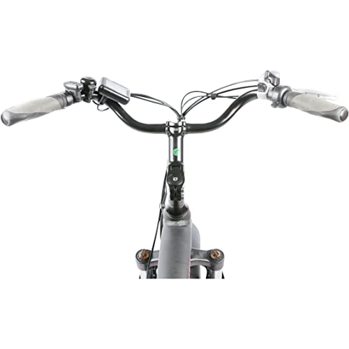DJ Super Bike Step Thru 750W Electric Bicycle