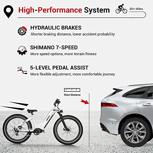 Himiway Zebra Step-Thru Fat Tire Electric Bike