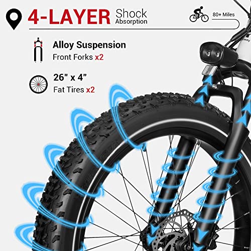 Himiway Zebra Step-Thru Fat Tire Electric Bike