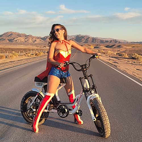 ADDMOTOR M-66 R7 Fat Tire E-bike 