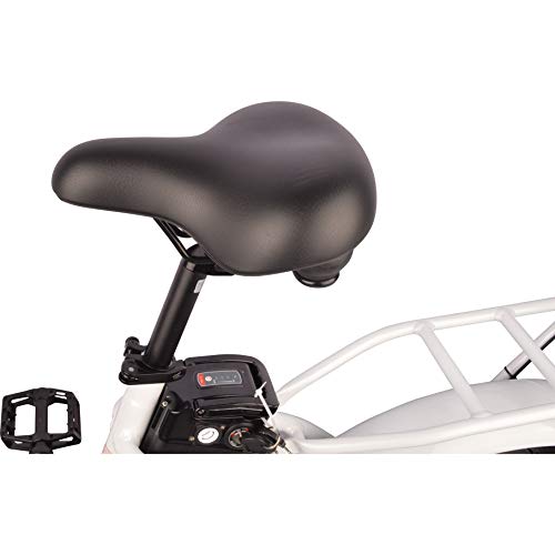 DJ Folding Step-Thru Electric Bike