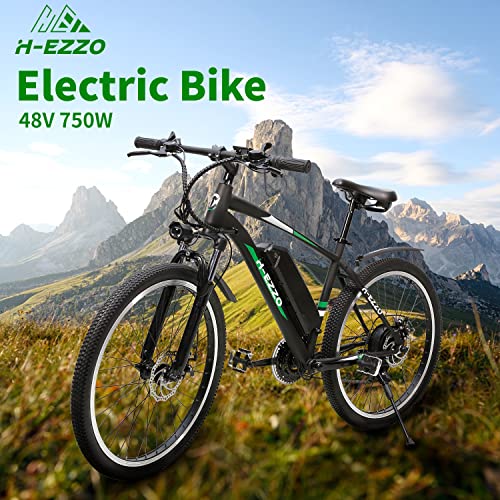 HEZZO Electric Bike 750W 48V