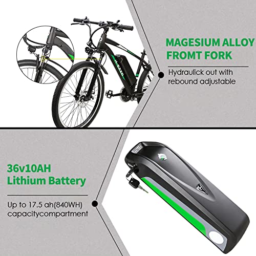 HEZZO Electric Bike 750W 48V