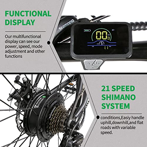 HEZZO Electric Bike 750W 48V
